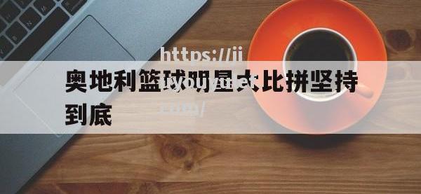 九游娱乐-奥地利篮球明星大比拼坚持到底